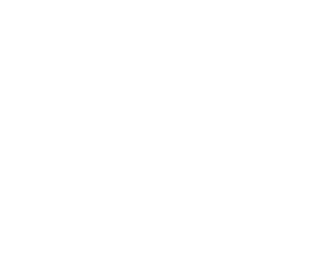VIGO logo
